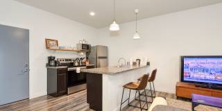 ZAZU Gallery 2