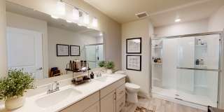 Insignia Apartments Gallery 8
