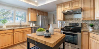 1173 Capri Drive Gallery 34