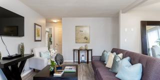 The Casas Gallery 26