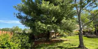 FULLY FURNISHED 4 BEDROOM, WALKOUT BASEMENT - SHORT TERM 6 MONTH RENTAL AVAILABLE IN OZARK! Gallery 56