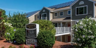 Katahdin Woods Gallery 12