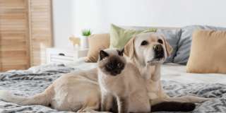 10 West Apartments Gallery 43