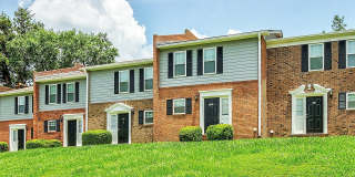 Live Oaks at 275 Gallery 7