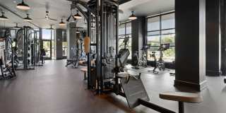 Madison West Elm Gallery 50