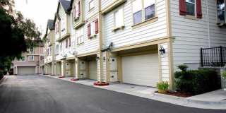 467 Pariso Terrace Gallery 15