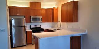 Polo Villas Gallery 6