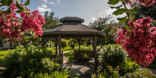The Reserve At Tranquility Lake Gallery 60