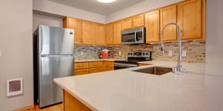 Echo Lake Gallery 25