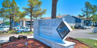 Diamond Lake Gallery 20