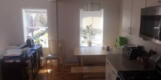 Beautiful Modern 4 bed unit with a rooftop deck! Gallery 12