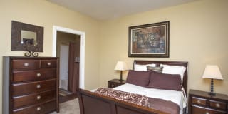 Ibis Trail Gallery 3