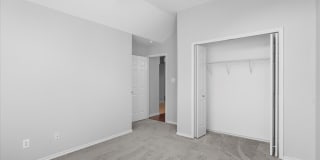 2812 Berry Patch Gallery 6