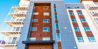 The BLU The BLU Gallery 21