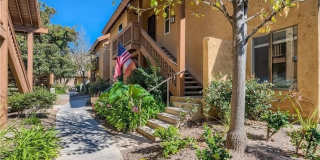 207 Orange Blossom Gallery 6