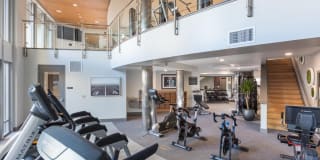 The Standard The Standard Gallery 6