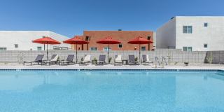 Brioso at the Bridges Gallery 50