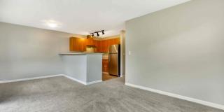 Terrace View Gallery 6