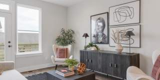 Welcome to The Becanni! Gallery 11