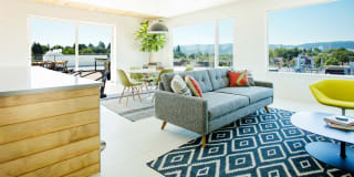 Burnside 26 Gallery 38