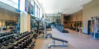 The Hayden Gallery 7