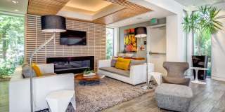 Shadowbrook Apartments Gallery 19