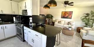 361 Tilford Q Gallery 11