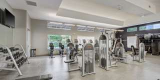 Park Pointe Gallery 23