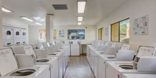 Alterra Apartments Gallery 17