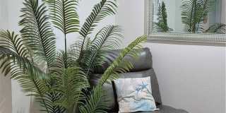 254 Palermo Circle Gallery 16