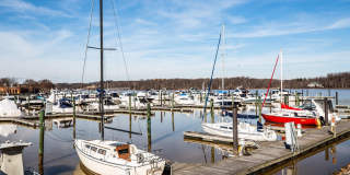 525 BELMONT BAY Drive Gallery 1
