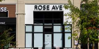 Sedgwick Gardens Gallery 32