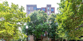 Beautiful One Bedroom in the Heart of Foggy Bottom| Water and Gas Included! Gallery 49