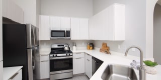 Las Palmas Gallery 6