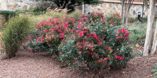 485 HARBOR SIDE Street unit: 712 Gallery 29