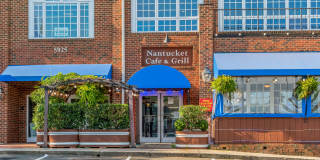 Aura Fifty4 Gallery 50