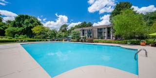 The Harrison Gallery 20