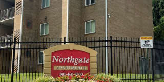 Northgate Gallery 10