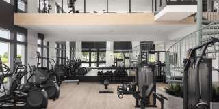 RYE Central Park Gallery 3