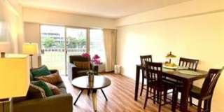 303 Liliouakalani St Unit 301Suite 714 Gallery 4