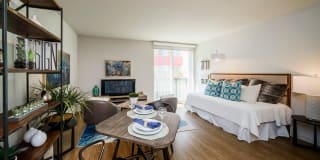 Windsor at Dogpatch Gallery 18