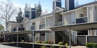 Camino Woods Gallery 11