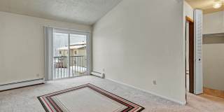 Conifer Grove Gallery 9