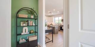 J Centra Burlington Gallery 24