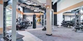 The Collier Sugar Hill Luxury Apartments Gallery 12