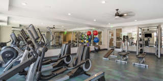 The Oliver Gallery 8