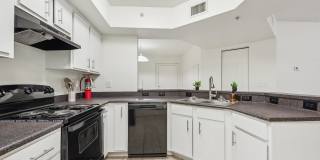 Lyme Stone Ranch Gallery 26