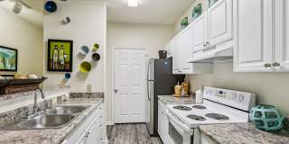 Arbor Walk Gallery 12