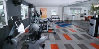 Fifteen 50 Gallery 15