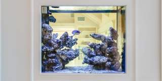 6277 Sea Star Dr Gallery 14